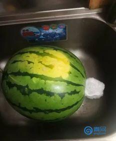 在线吃自己的瓜,揭秘网络吃瓜文化的独特魅力