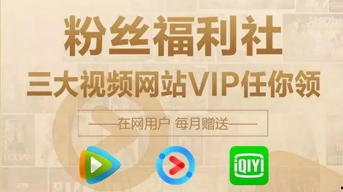 吃瓜大事分享,揭秘娱乐圈最新热点事件