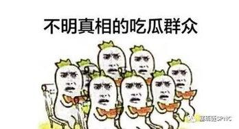 吃瓜群众看大哥,吃瓜群众视角下的“大哥”风云录
