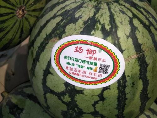 夜南京吃瓜,揭秘这座古都的“吃瓜”风情