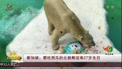 熊女士吃瓜视频,揭秘娱乐圈幕后故事