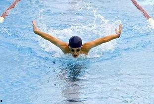 游泳吃瓜太热了造句