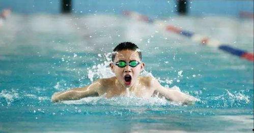 游泳吃瓜太热了造句