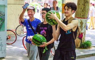 兰州高校恶意吃瓜,揭秘校园网络暴力的阴影面