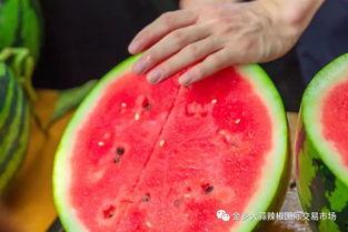 兰州高校恶意吃瓜,揭秘校园网络暴力的阴影面