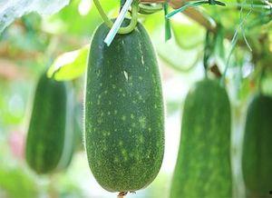 依依吃瓜3,揭秘娱乐圈背后的秘密与真相