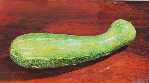 嫩瓜怎么吃,探索嫩瓜的多样美味