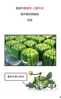 吃瓜要吃全,吃瓜要吃全，全面解析明星幕后故事