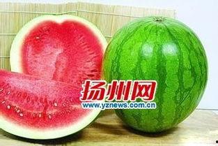 感冒吃籽瓜好吗,感冒期间食用籽瓜的适宜性探讨