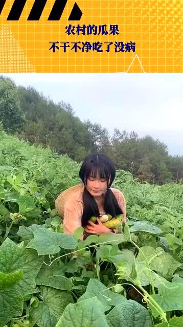 农村什么瓜没人吃,盘点那些“默默无闻”的瓜类