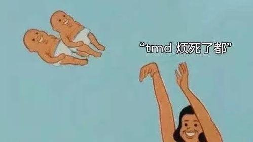 锤子的吃瓜事件,一场网络狂欢背后的真相与反思