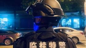 隔岸吃瓜vlog,品味瓜田乐趣——跟随vlog探索生活百态