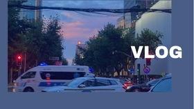 隔岸吃瓜vlog,品味瓜田乐趣——跟随vlog探索生活百态