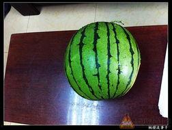 自吃自瓜,揭秘个人行为的因果循环