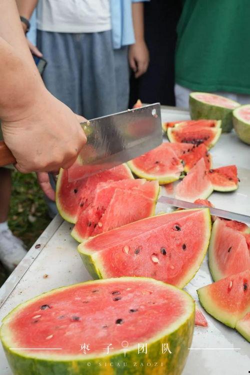 自吃自瓜,揭秘个人行为的因果循环