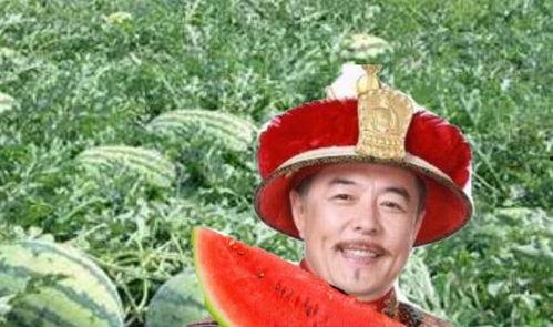 在路边吵架吃瓜