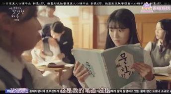 炮灰吃瓜陆琳琅,陆琳琅的吃瓜人生