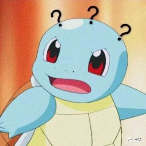 没吃明白的瓜,一场引人入胜的真相大揭秘