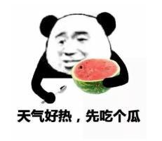 没吃明白的瓜,一场引人入胜的真相大揭秘