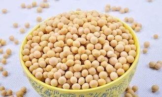 半夏吃瓜黄色部分,探寻夏日瓜果的甜蜜诱惑