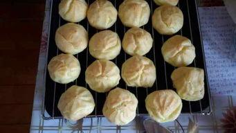 泡芙奶奶吃瓜,揭秘娱乐圈幕后故事