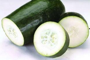 最热吃瓜合集,盘点那些让人笑到肚子疼的瓜界奇闻