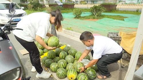 399元吃瓜,一场味蕾的狂欢之旅