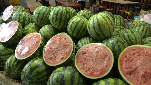 399元吃瓜,一场味蕾的狂欢之旅