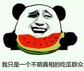 吃瓜事件教练,揭秘教练背后的真相与争议