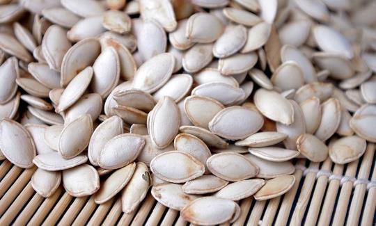 胃炎可以吃虎耳瓜吗,虎耳瓜的养生之道