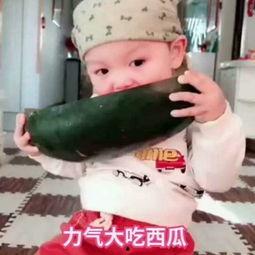 屁小六吃瓜视频,娱乐圈幕后真相大曝光