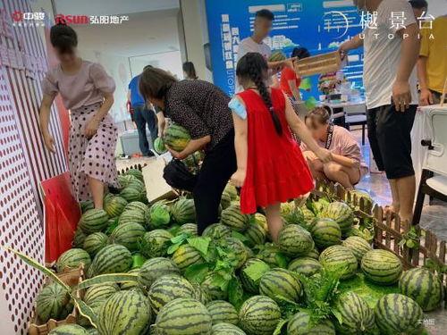 景宣吃瓜,揭秘娱乐圈幕后故事