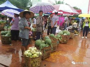 唱歌比赛吃瓜,一场别开生面的唱歌比赛盛宴