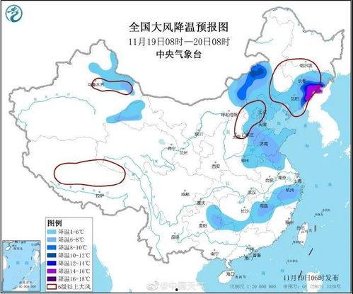 冷空气吃瓜,吃瓜群众如何应对？