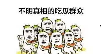 吃瓜群众看华为,揭秘科技巨头的崛起之路