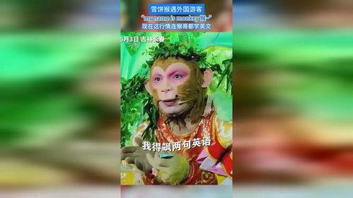 雪饼猴吃瓜,雪饼猴的瓜田奇遇记