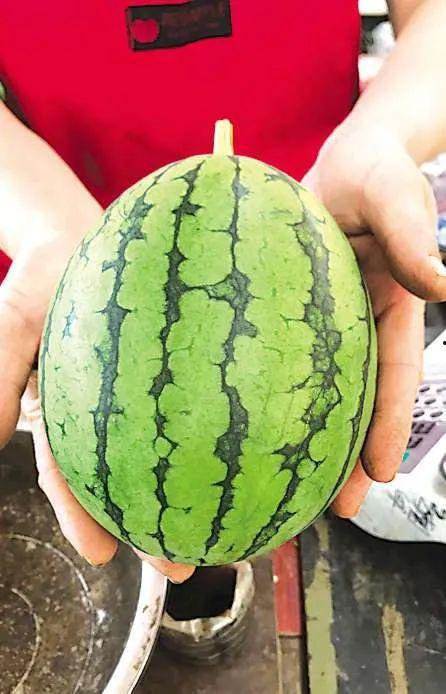 晒背后吃瓜,揭秘娱乐圈背后的秘密