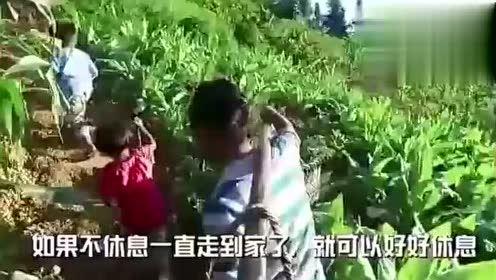 万科吃瓜视频,揭秘房企内部风云