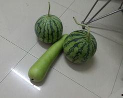 下午去摘瓜吃,一场说走就走的摘瓜之旅