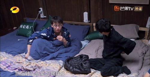 吃瓜睡觉的视频,揭秘“吃瓜睡觉”视频背后的娱乐现象