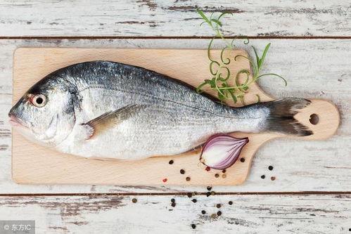 受害鱼吃瓜,揭秘水下美食背后的故事