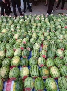 万人吃瓜,揭秘“吃瓜”背后的网络现象与文化现象