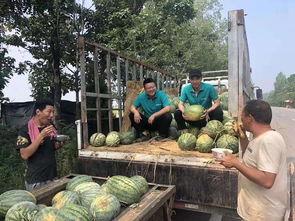 万人吃瓜,揭秘“吃瓜”背后的网络现象与文化现象