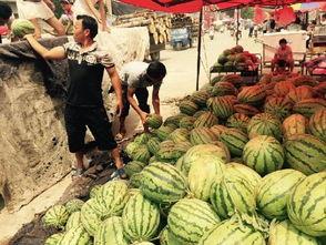 万人吃瓜,揭秘“吃瓜”背后的网络现象与文化现象