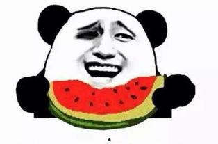 各种吃瓜姿势,揭秘各式吃瓜姿势背后的故事