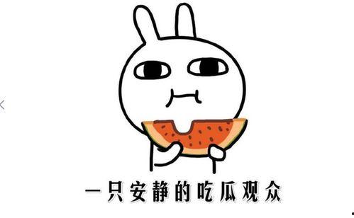 描述吃瓜的心情,品味生活，畅享吃瓜时光