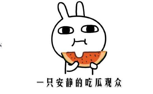 吃瓜免费事件,揭秘网络狂欢背后的真相