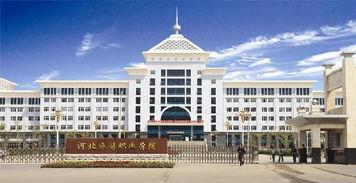 河北旅游职业学院吃瓜,校园美食瓜，尽享舌尖上的校园风情