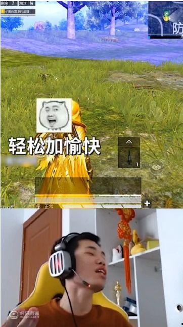 鲨鱼直播吃瓜,海洋生物新食趣