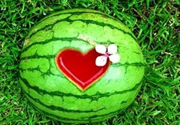 做梦摘瓜吃瓜什么意思周公解梦,梦境摘瓜吃瓜的寓意解析